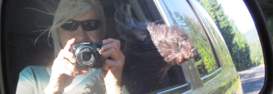 Me and my dog in the car