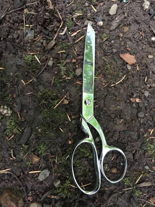 Gingher scissors -- so shiny they reflect my garden plants